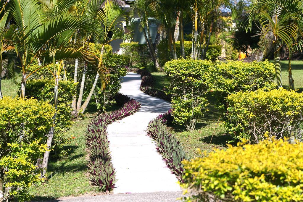 Mango Bay Resort Namatakula Kültér fotó